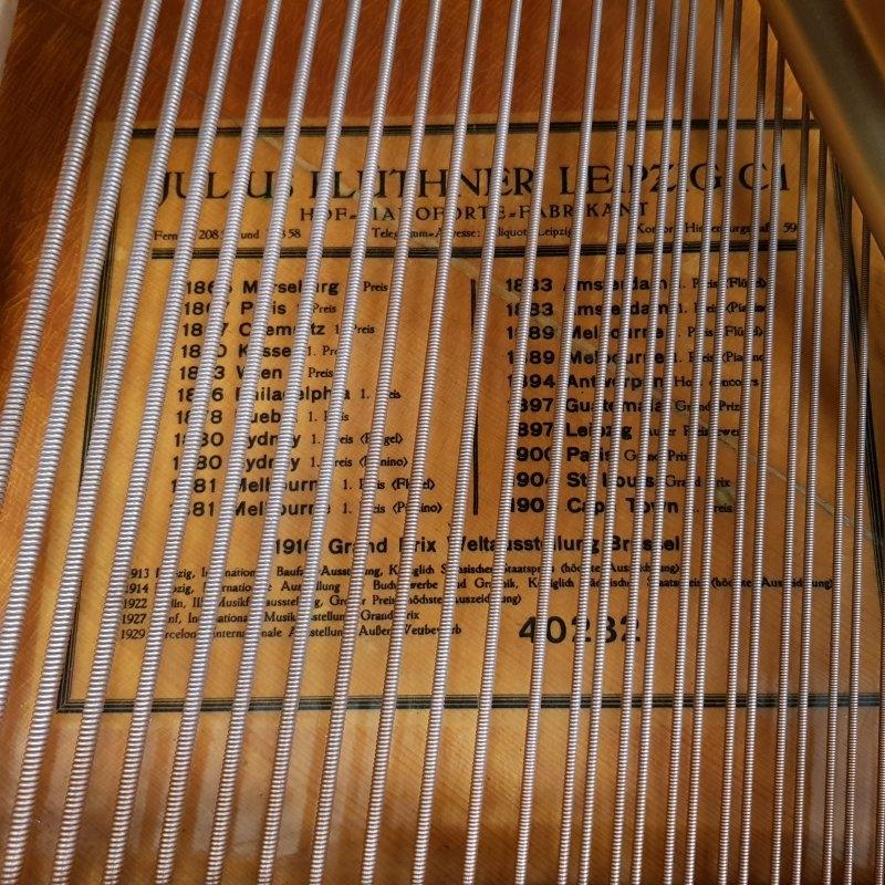 Bluthner VIII Aliquot grand Piano in Rosewood – Gallery image – Roberts Pianos Oxford
