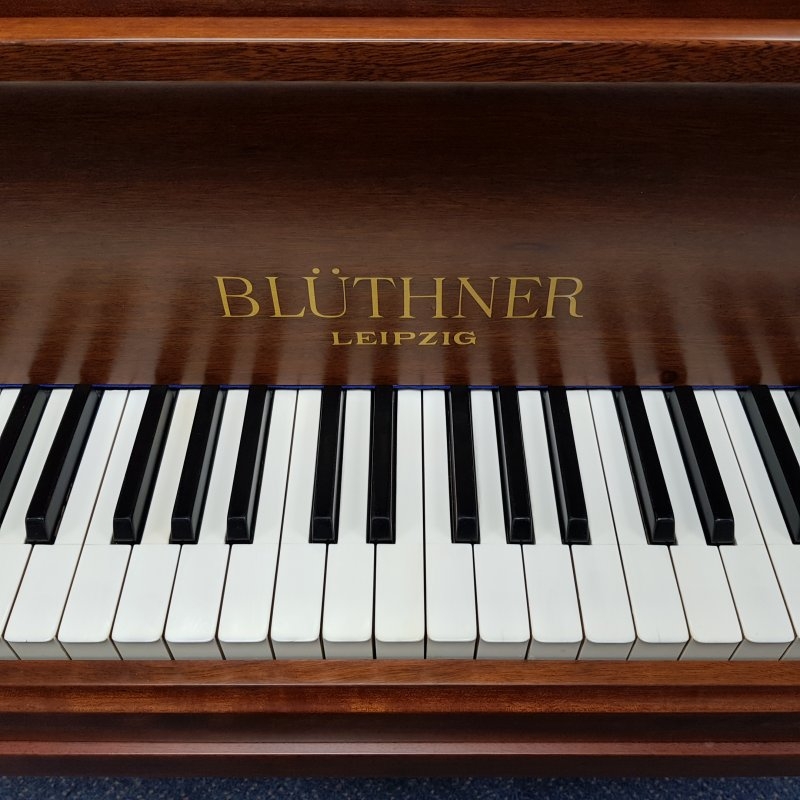 Bluthner Style lV