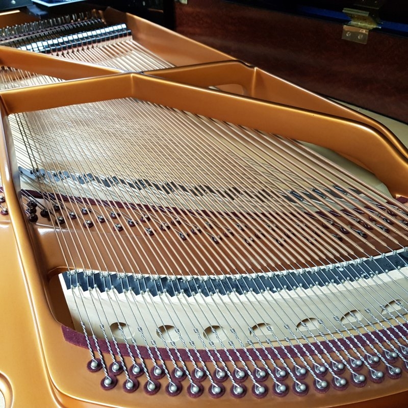 Bosendorfer 170