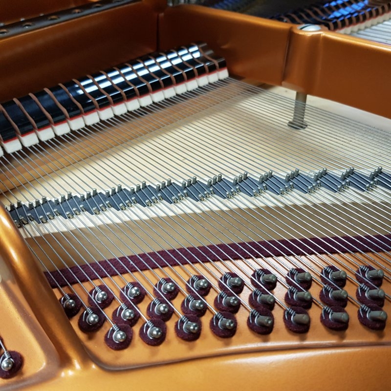 Bosendorfer 170