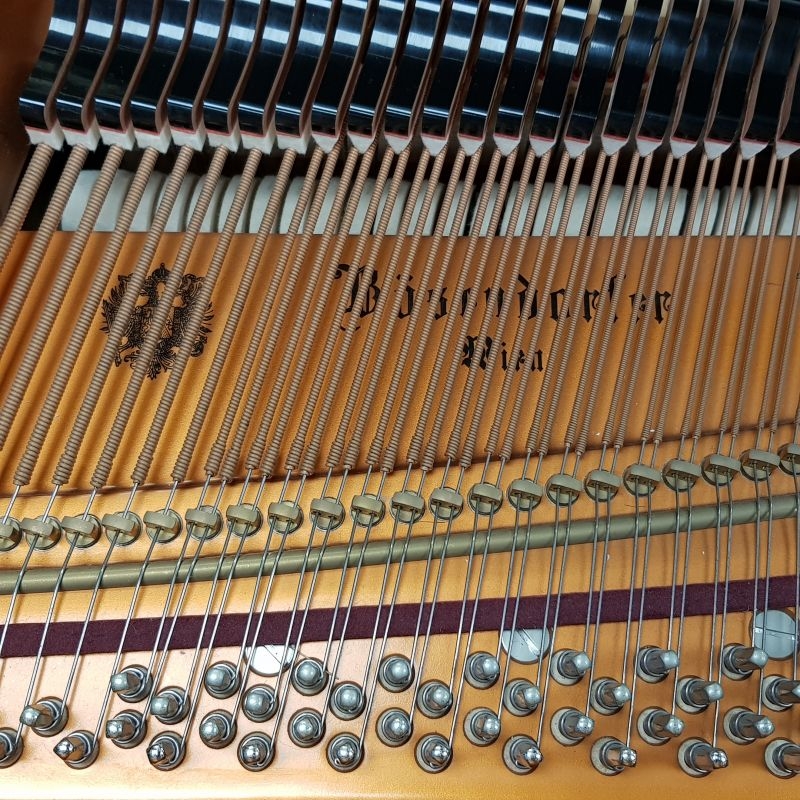 Bosendorfer 170