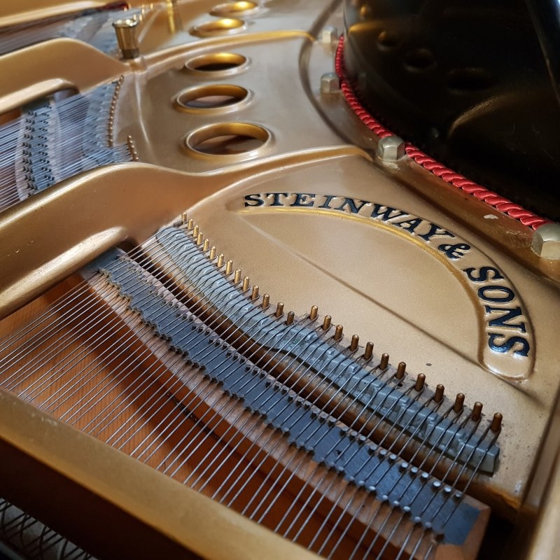 Steinway M