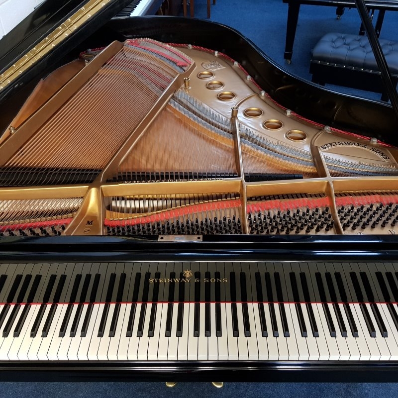 Steinway M