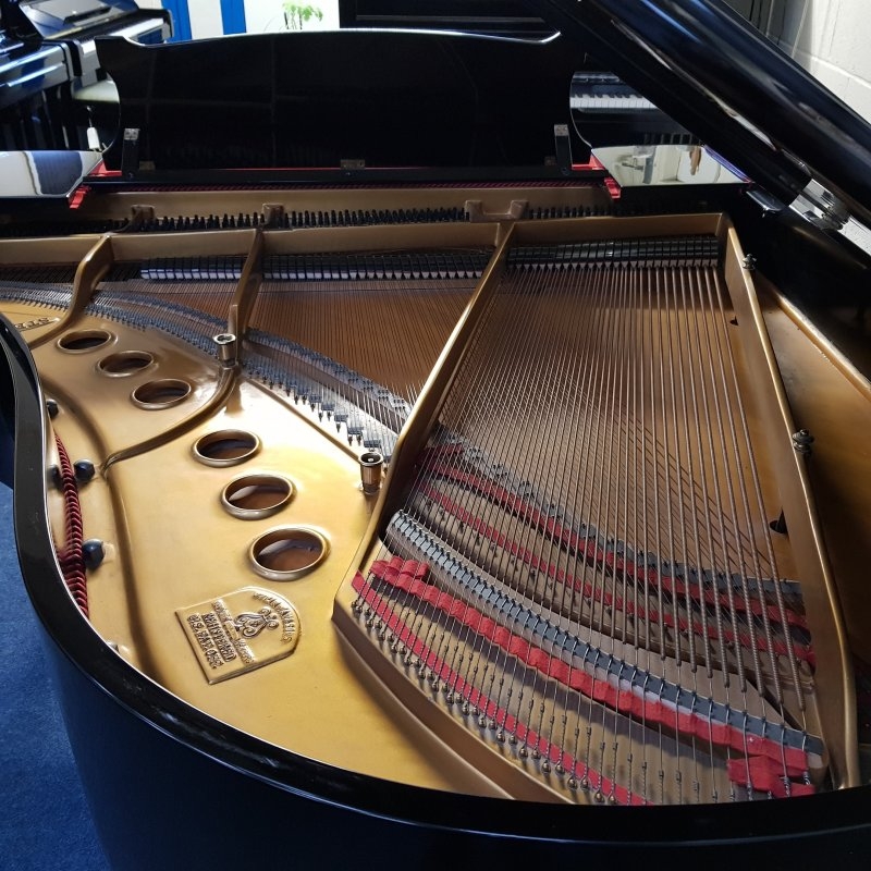 Steinway M