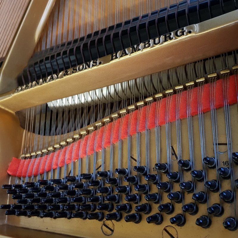 Steinway M