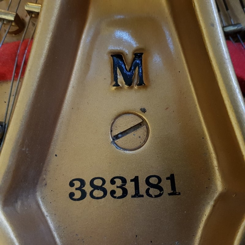 Steinway M