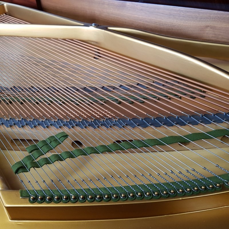 Bechstein B