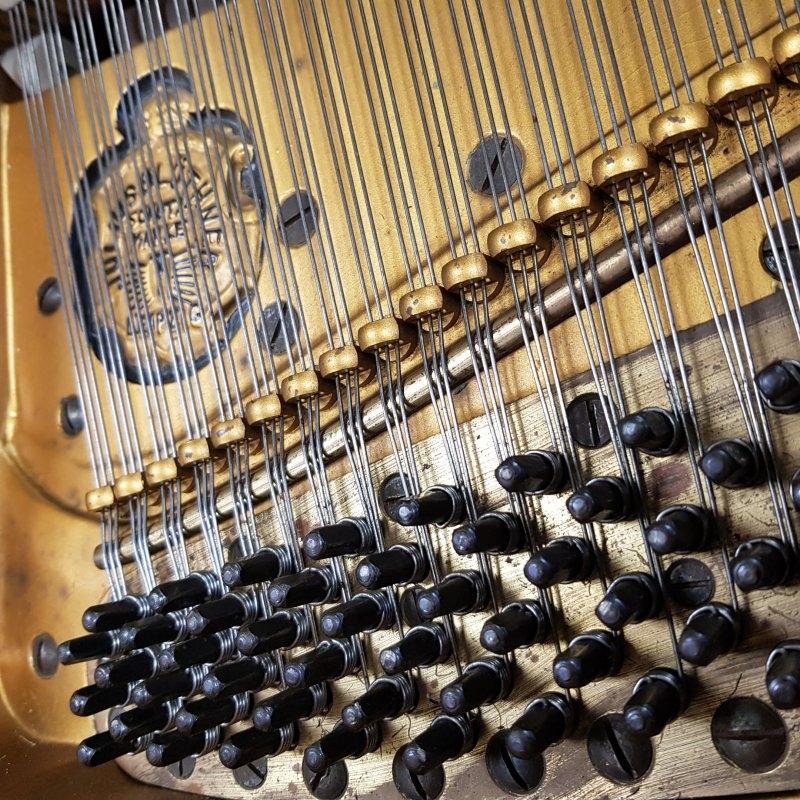 Bluthner VII grand Piano in rosewood – Gallery image – Roberts Pianos Oxford