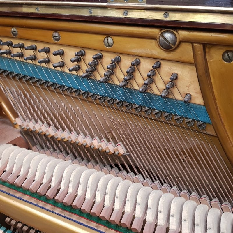 Bechstein 8