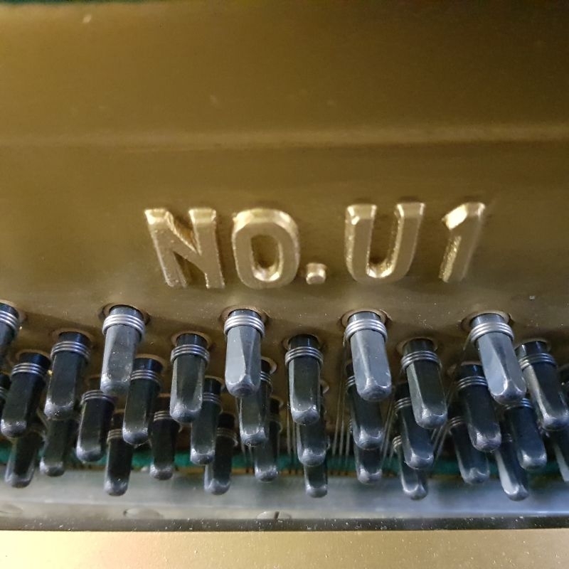 Yamaha U1D