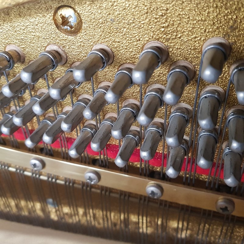 Schimmel 112