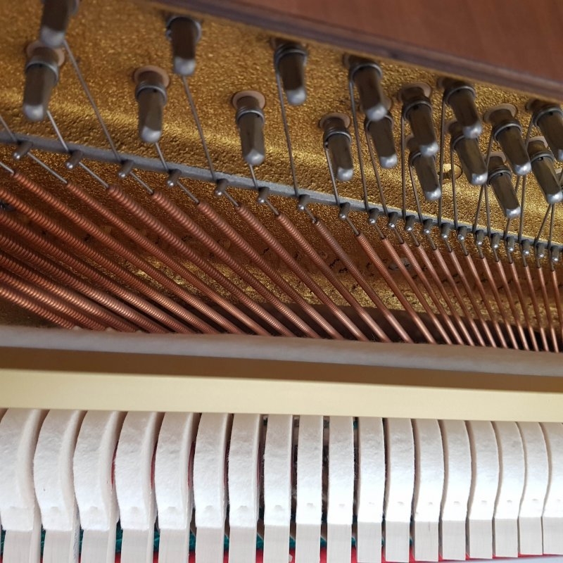 Schimmel 112