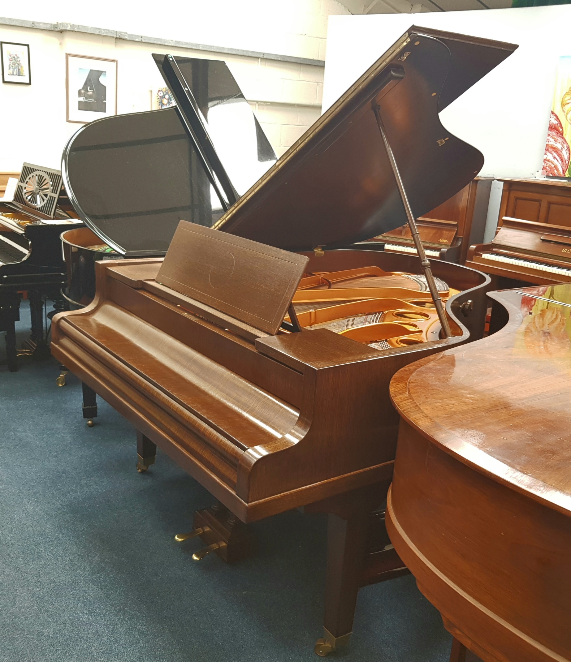 Bosendorfer 170