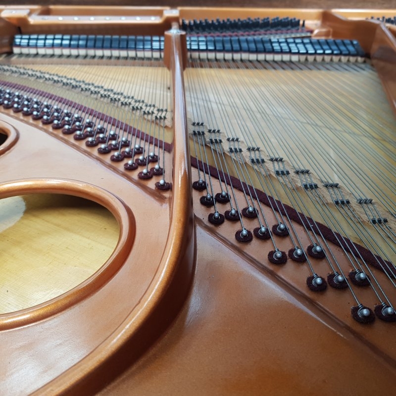 Bosendorfer 170