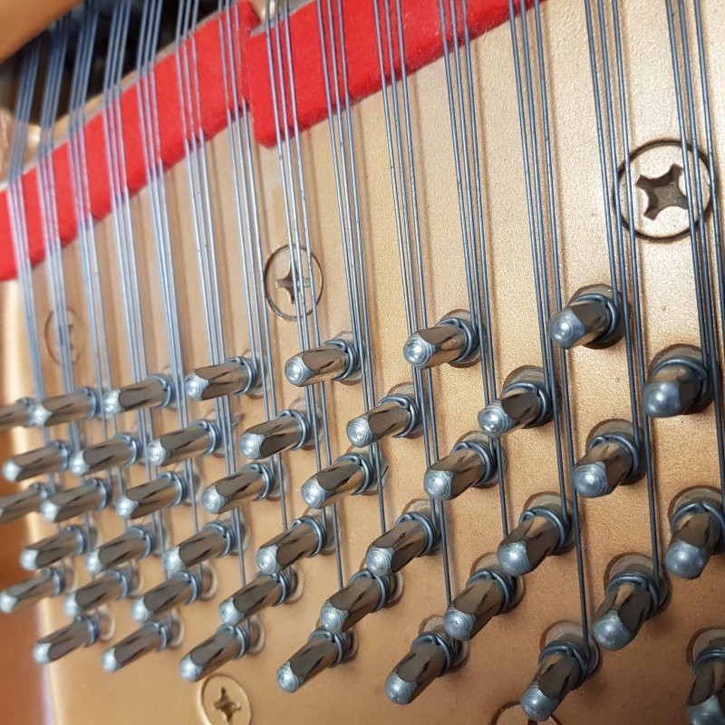 Yamaha C7