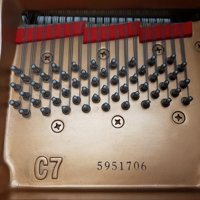 Yamaha C7
