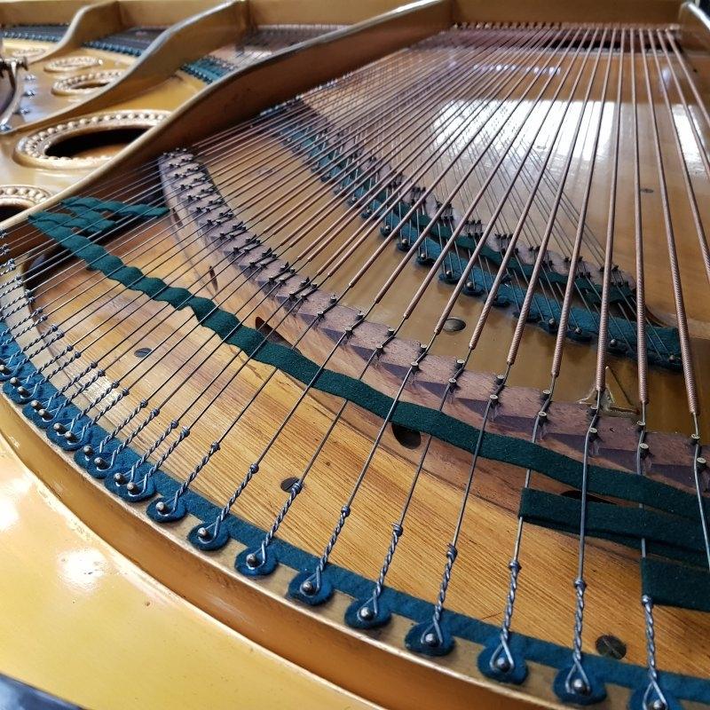 Bechstein V grand Piano in Black – Gallery image – Roberts Pianos Oxford