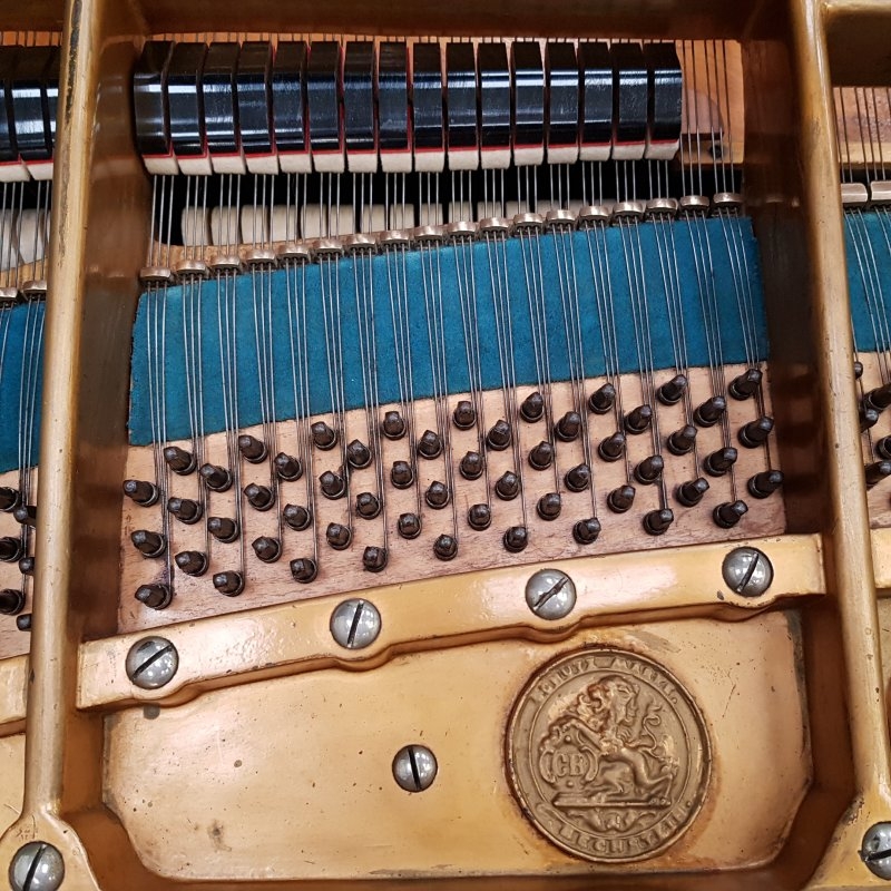 Bechstein V