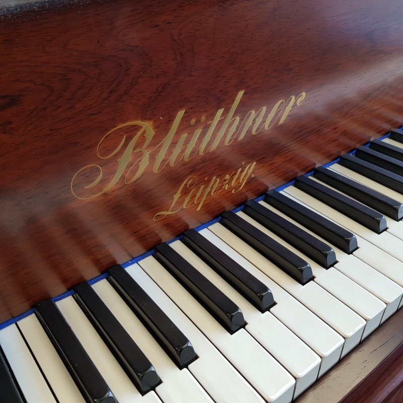 Bluthner VIII Aliquot grand Piano in Rosewood – Gallery image – Roberts Pianos Oxford