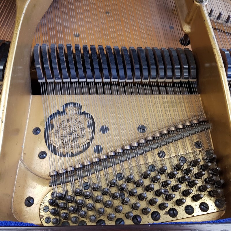 Bluthner VIII Aliquot grand Piano in Rosewood – Gallery image – Roberts Pianos Oxford