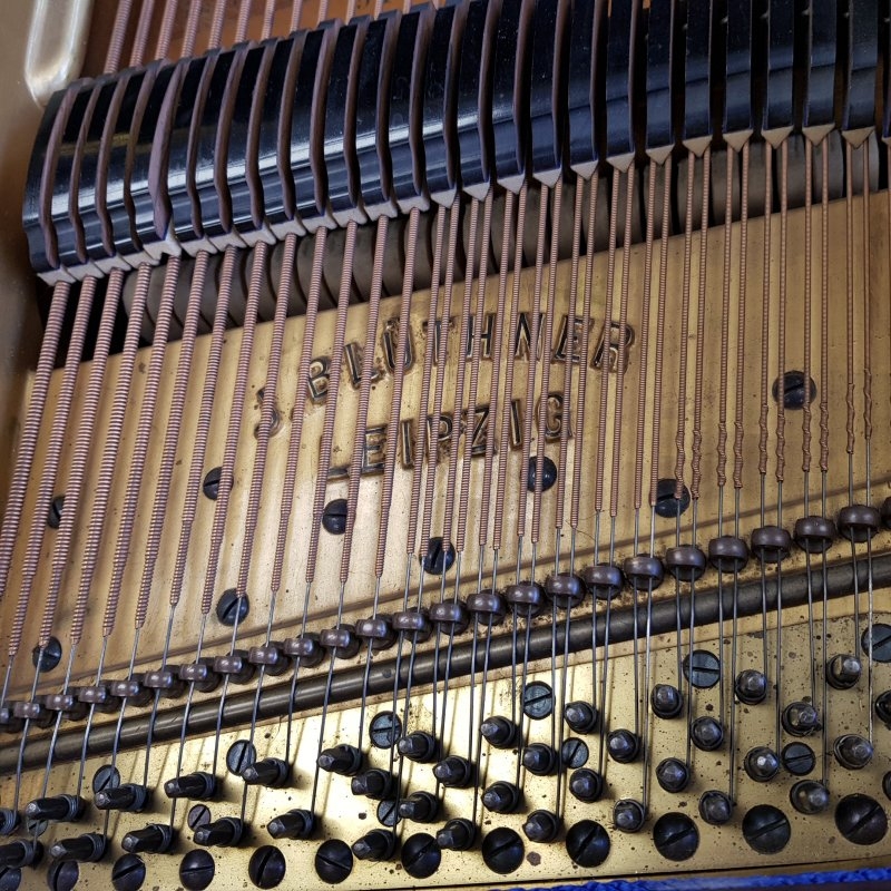 Bluthner VIII Aliquot grand Piano in Rosewood – Gallery image – Roberts Pianos Oxford