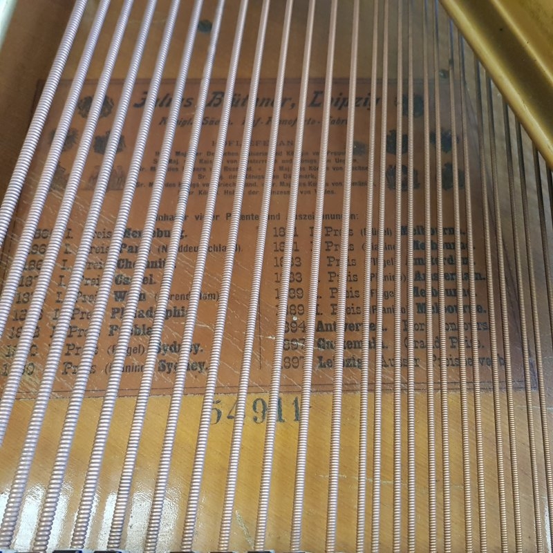 Bluthner VIII Aliquot grand Piano in Rosewood – Gallery image – Roberts Pianos Oxford