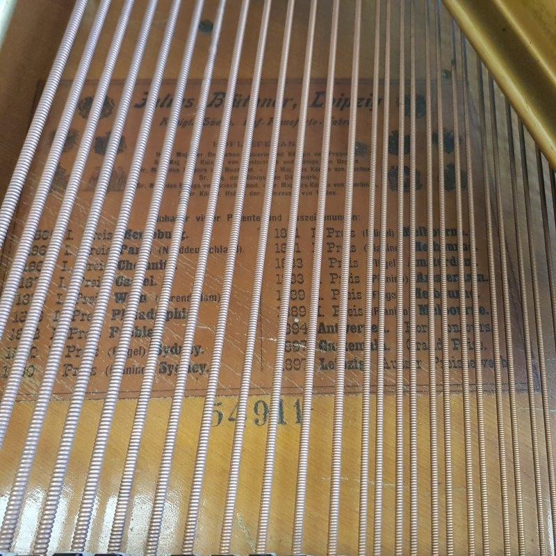 Bluthner VIII Aliquot grand Piano in Rosewood – Gallery image – Roberts Pianos Oxford