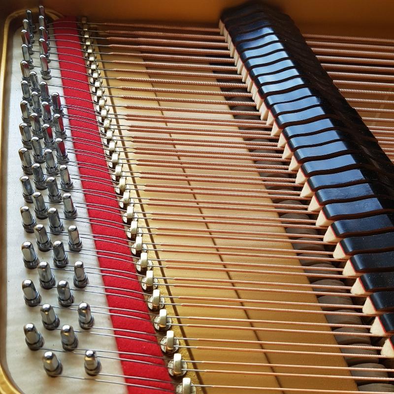 Grotrian Steinweg 160 grand Piano in black – Gallery image – Roberts Pianos Oxford