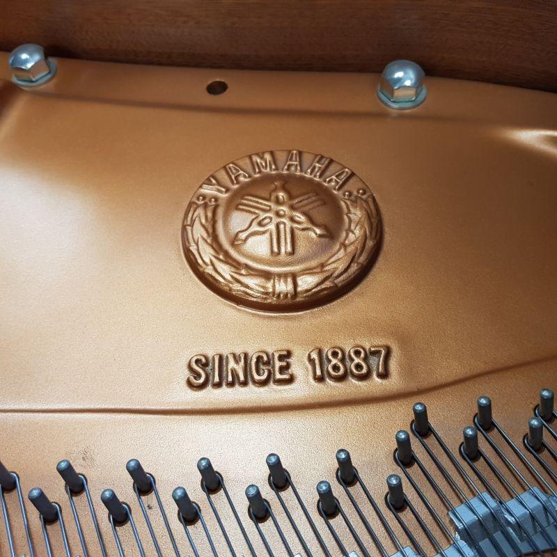 Yamaha C2M grand Piano in black – Gallery image – Roberts Pianos Oxford