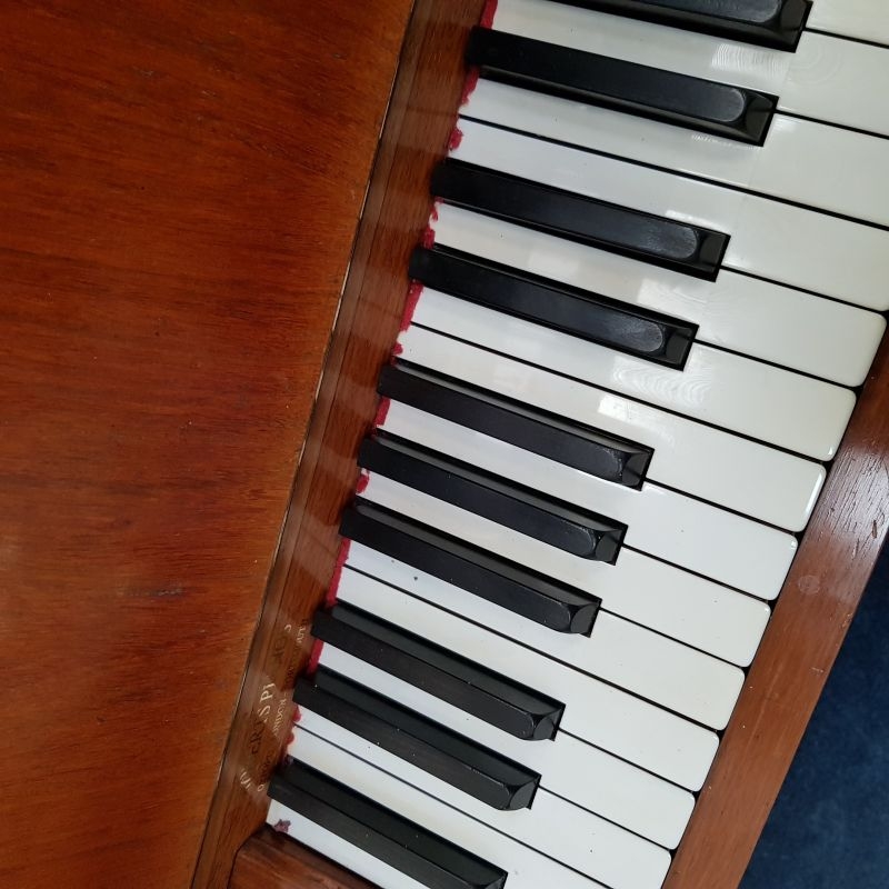 Bechstein 8