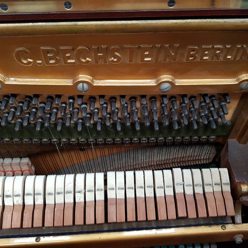 Bechstein 8