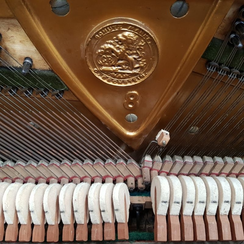 Bechstein 8