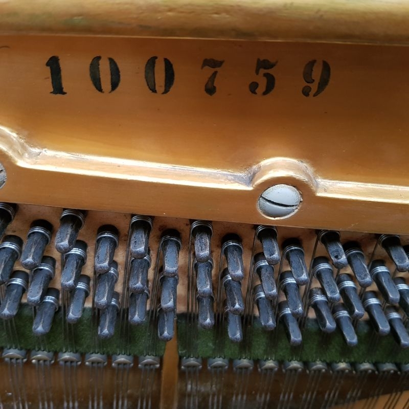 Bechstein 8