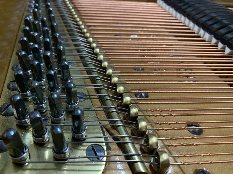 Bluthner style VII grand Piano in Rosewood – Gallery image – Roberts Pianos Oxford