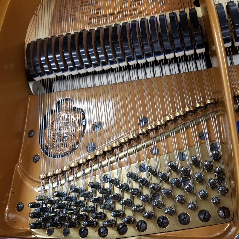 Bluthner style VII grand Piano in Rosewood – Gallery image – Roberts Pianos Oxford
