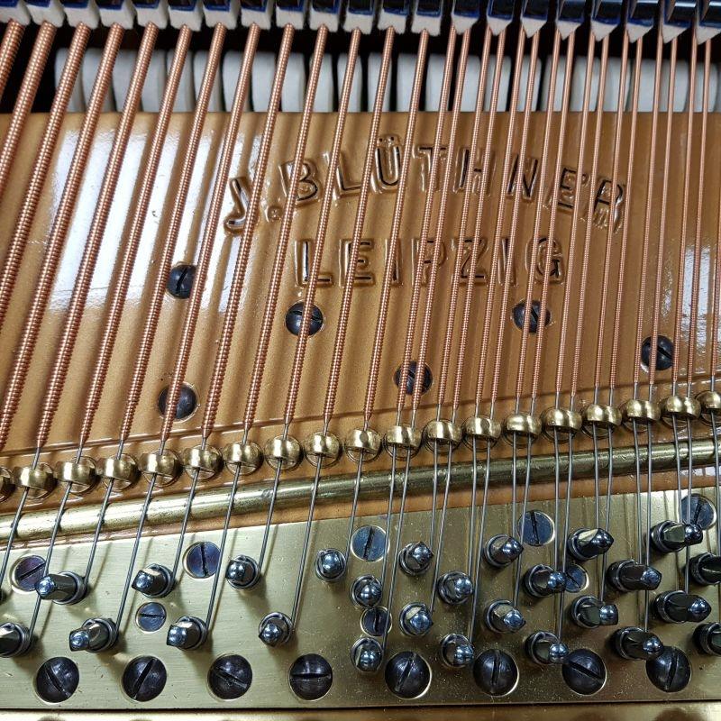 Bluthner style VII grand Piano in Rosewood – Gallery image – Roberts Pianos Oxford