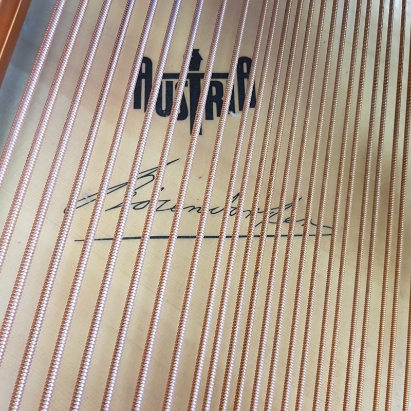 Bosendorfer 200