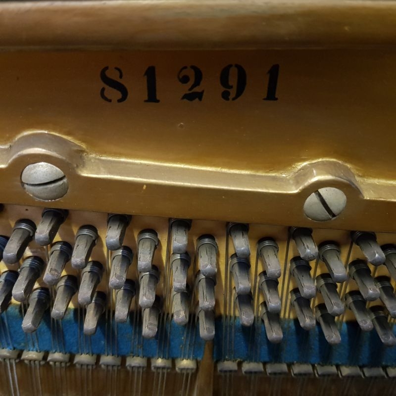 Bechstein 8