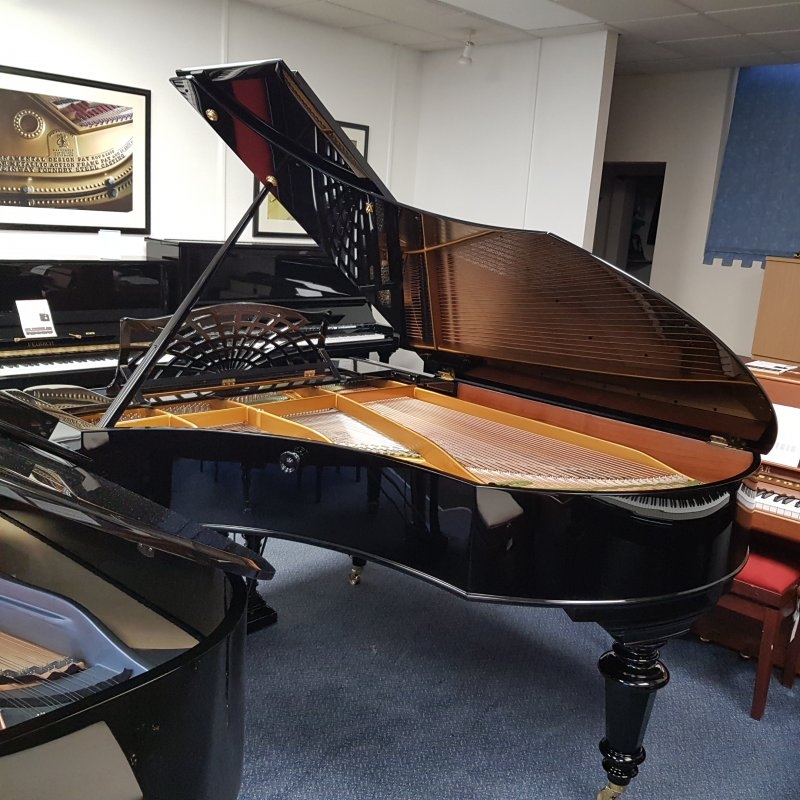 Bechstein V