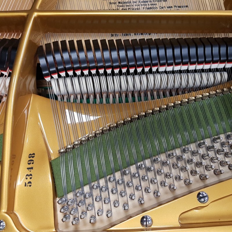 Bechstein V