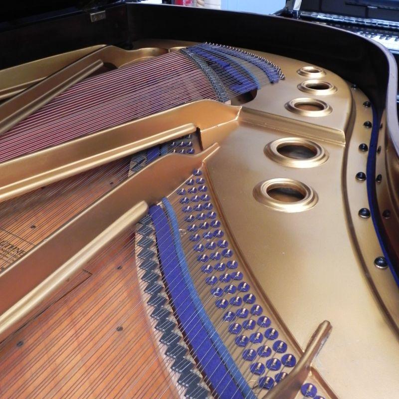 Bluthner VII grand Piano in rosewood – Gallery image – Roberts Pianos Oxford