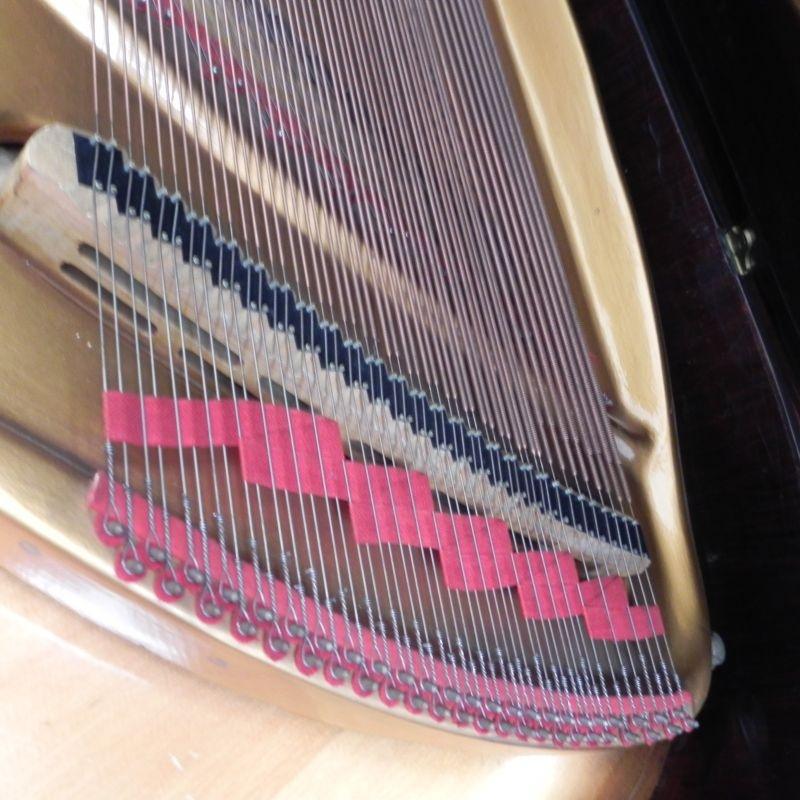 Broadwood Barless grand Piano in rosewood – Gallery image – Roberts Pianos Oxford