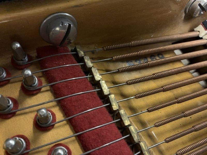 Broadwood Barless grand Piano in rosewood – Gallery image – Roberts Pianos Oxford