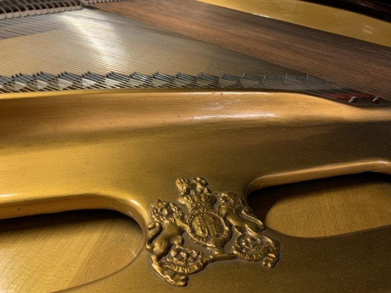 Broadwood Barless grand Piano in rosewood – Gallery image – Roberts Pianos Oxford