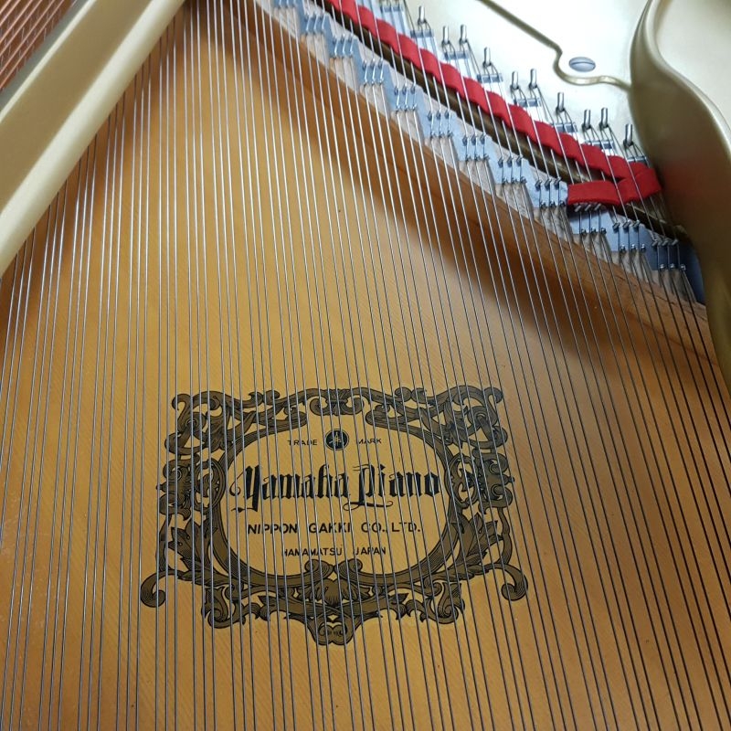 Yamaha C7