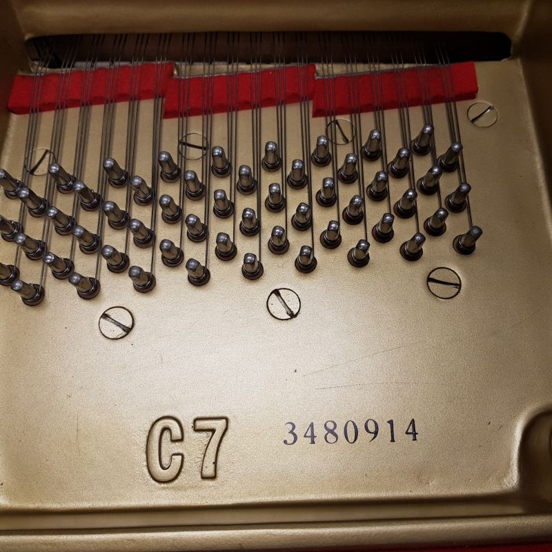 Yamaha C7