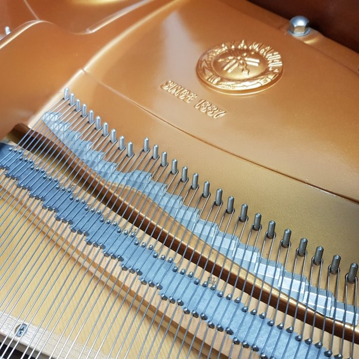 Yamaha S6