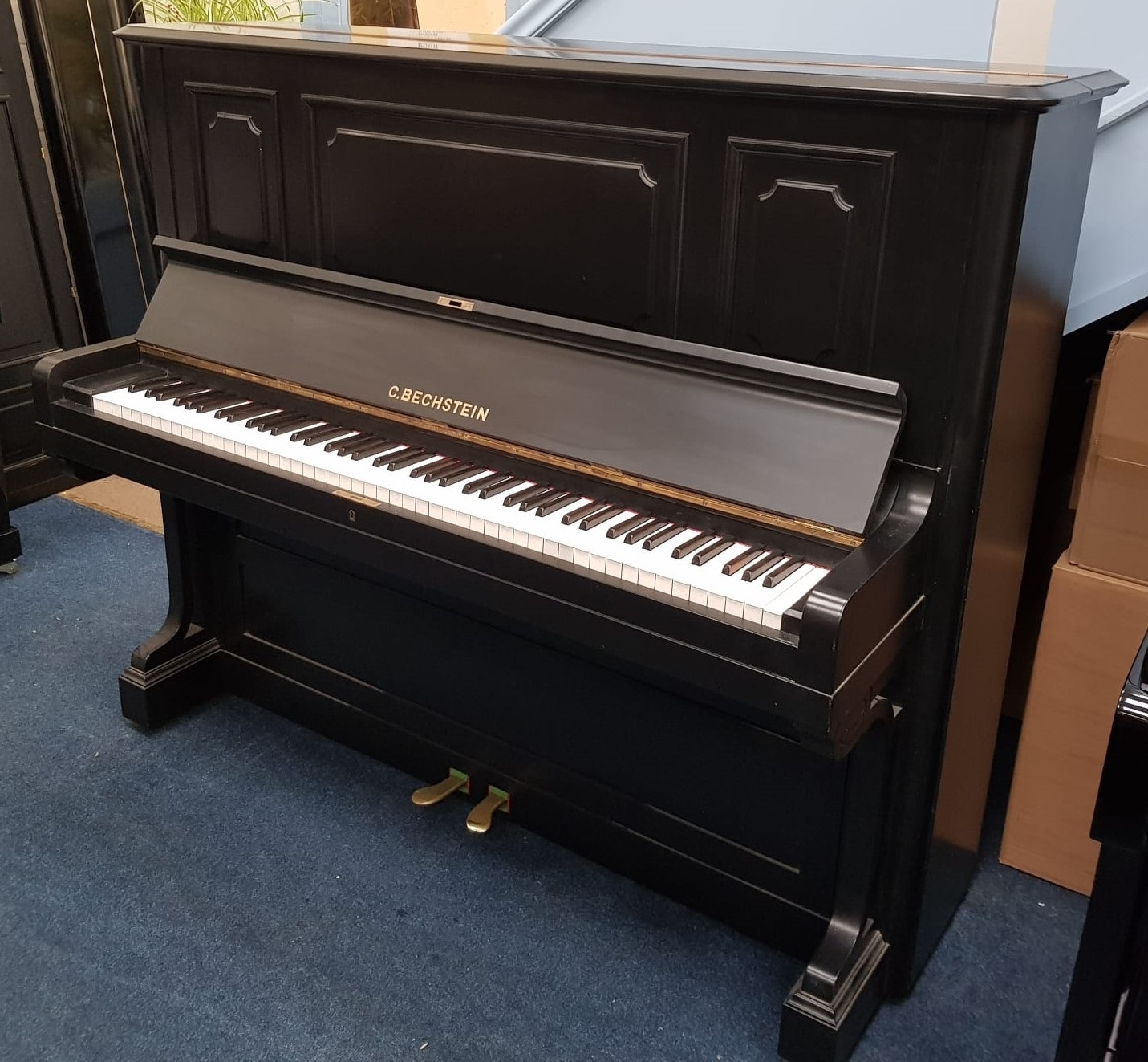 Bechstein 8