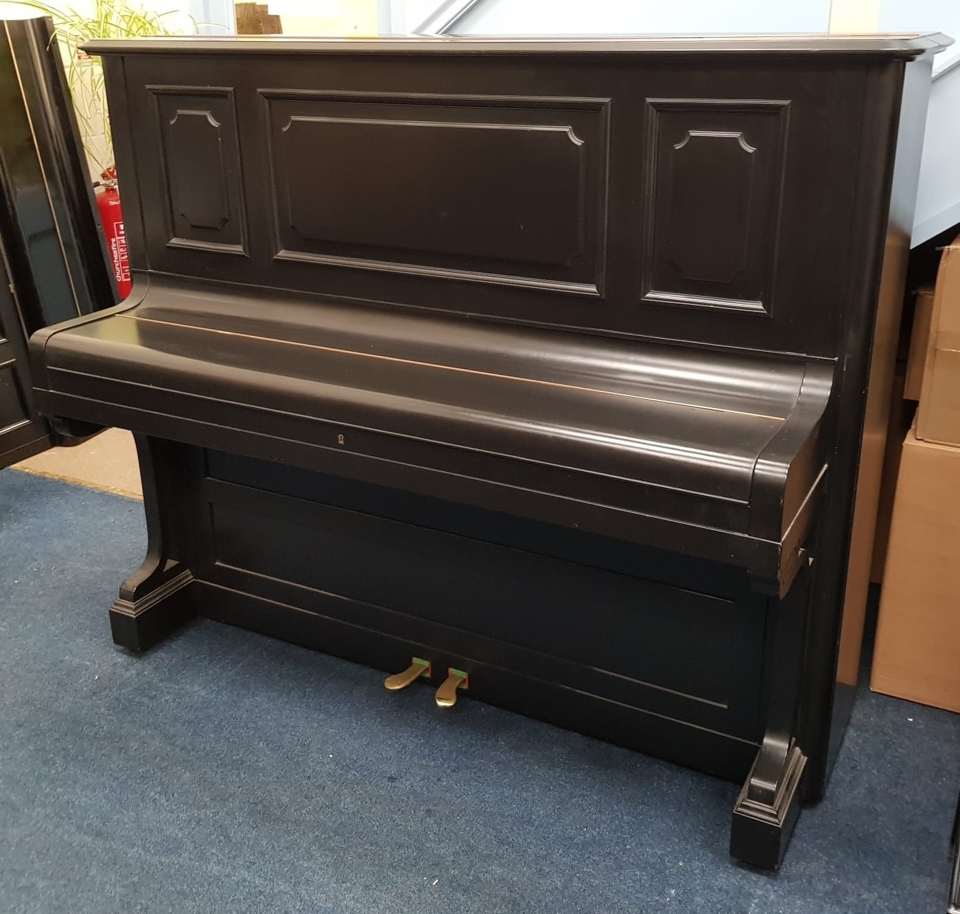Bechstein 8