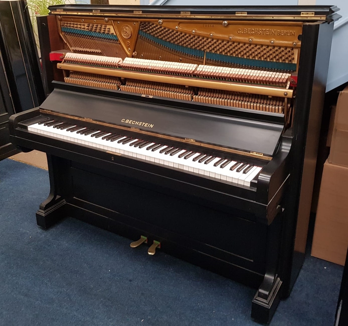 Bechstein 8